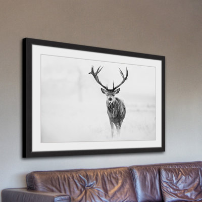 " Elk Stare " by Marmont Hill