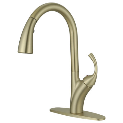 VIBRANTBATH Pull Down Kitchen Faucet