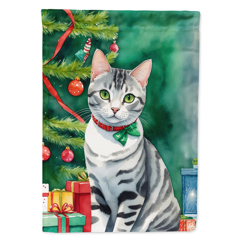 Drapeau de jardin Pixie Bob, American Shorthair