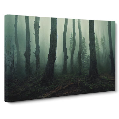 Forest Mist Vol.3 - Wrapped Canvas