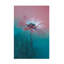 Art sur toile rose, Lydia Jacobs-93222121