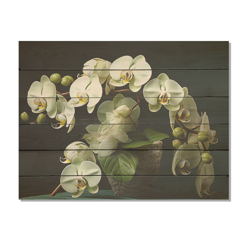 «Green Orchids Realistic Elegance I», art sur bois de pin naturel, H 10 po x l 20 po