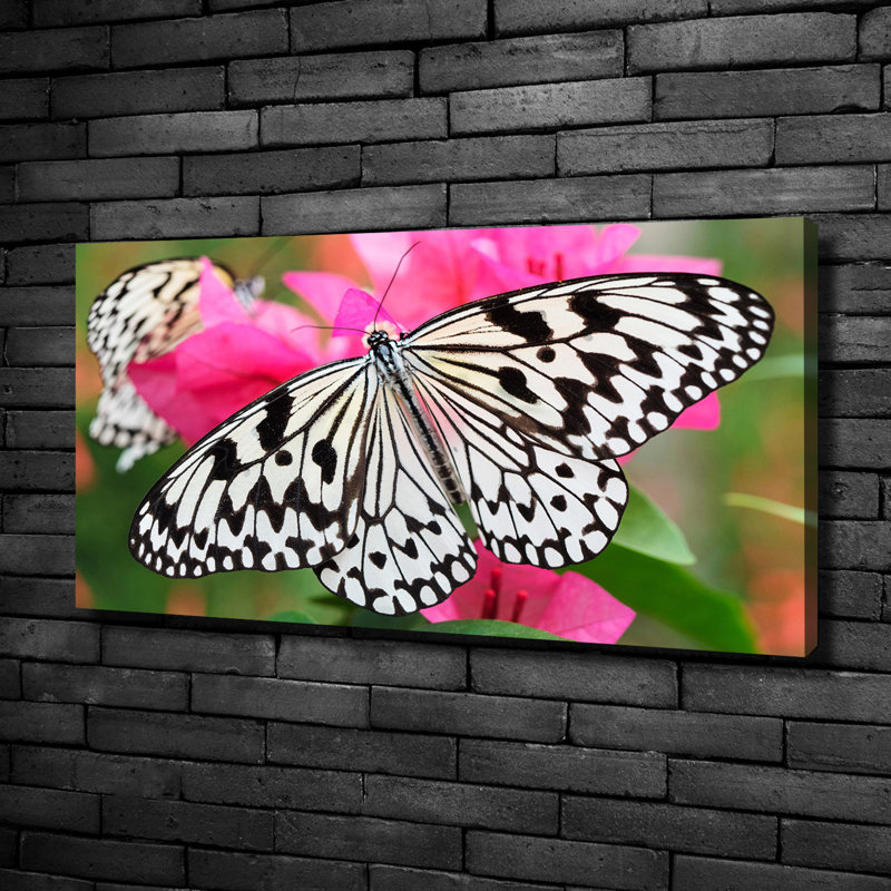 Butterfly On A Flower - Wrapped Canvas Print