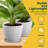 Plant Pots with Drainage & Saucers, Indoor & Outdoor Planters for Houseplants, Herbs, and Flowers, Durable & Weatherproof Material, Stackable, Lightweight, Minimalist Design, Pack of 24-229664092-229664094