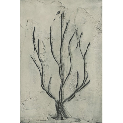 Sea Bevy II by Renée W. Stramel - Wrapped Canvas Painting