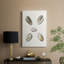 Pastel Knorr Shells III - Cavas enveloppés de galerie-108825285