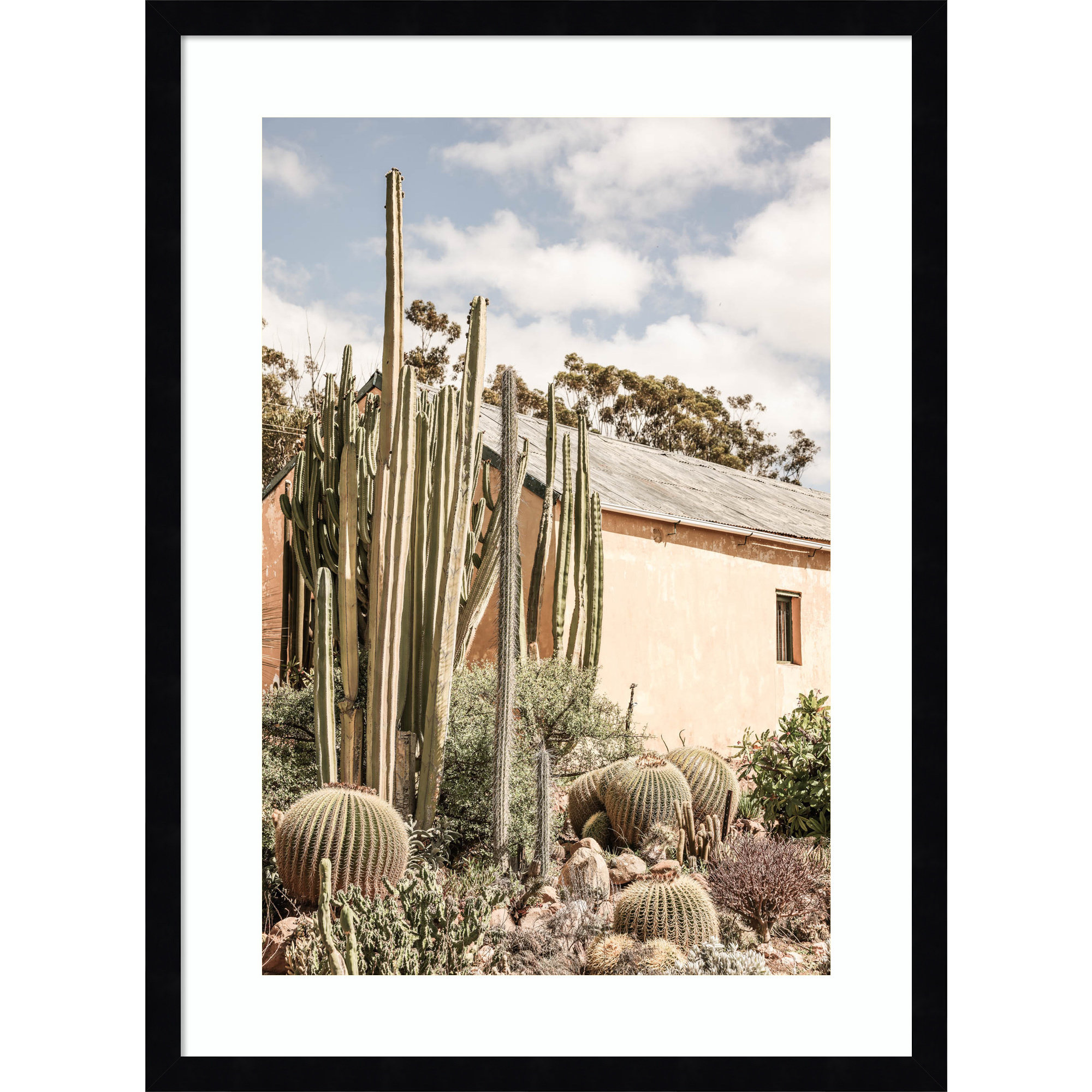 Karoo Garden 02 by Shot by Clint Wood Framed Wall Art Print, 25" H x 19" W, Black 