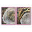 ABSTRACT Series CCLX - Reproduction encadrée de qualité supérieure - prête à être accrochée - aucun clou requis - aucun clou requis-199593066-199593059