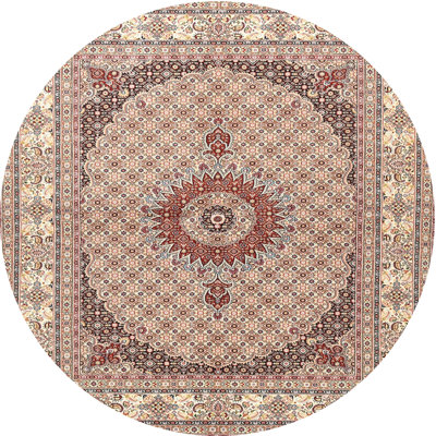 Oriental Indoor Rug