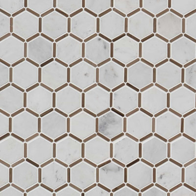 Florentine 2"Hexagon Polished Marble Mosaic