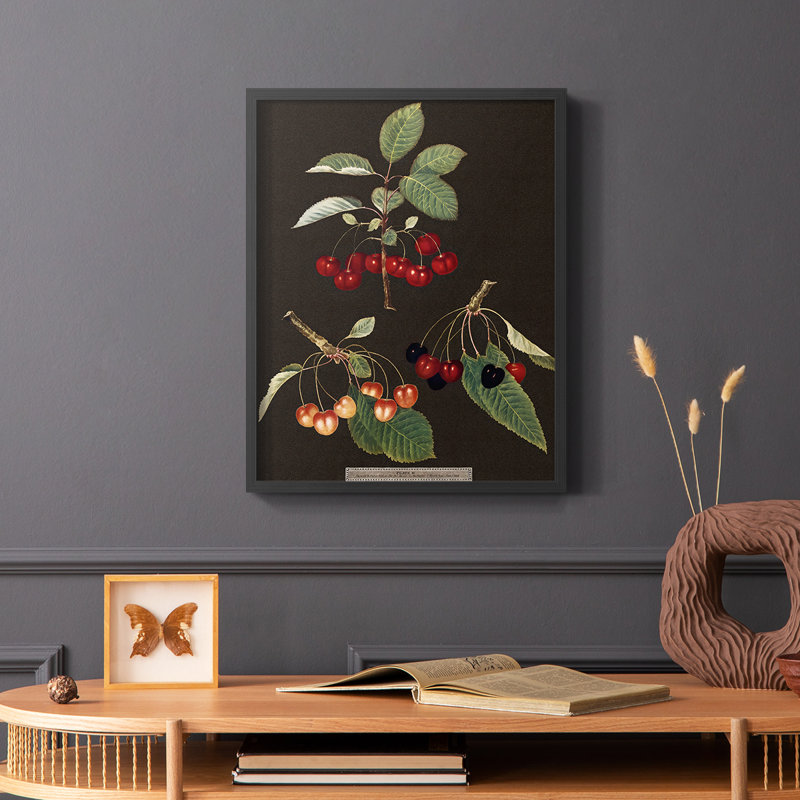 Brookshaw Cherries, reproduction encadrée - bois massif, Noir, H 20 po x l 16 po
