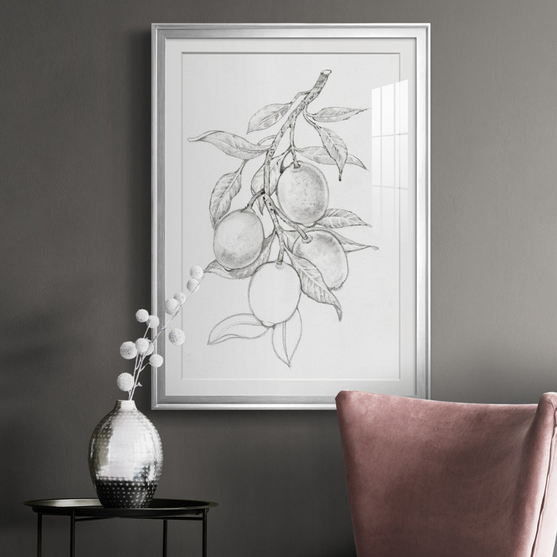 Branche de fruits I - reproduction de cadre photo, Cadre argenté, H 24,5 po x l 18,5 po x P 1 po