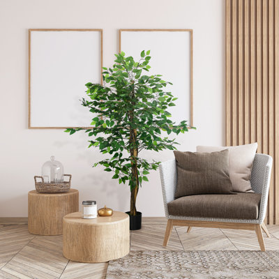 150cm Faux Ficus Tree in Pot
