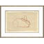 At the Zoo Sketch Series - Laying Bunny Framed