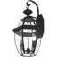 Luminaire suspendu pour lanterne murale d'extérieur 10,5 po 2 lumières avec abat-jour en verre biseauté transparent-101230906