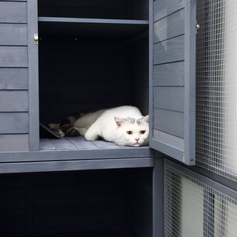 Gray Wooden Outdoor Cat House with Platforms and Ramps