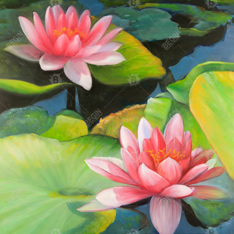 " Water Lilies And Lotus Flowers "