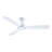 Kamy 52'' Ceiling Fan with LED Lights