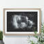Lone Horse - Picture Frame Graphic Art-62802569-62802568
