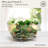 Fitz And Floyd Natures Greeting Glass Serving Bowl, 10.25 Inch