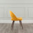 Kanthan 18'' H Velvet Upholstered Side Chair-1694118019-1694118021