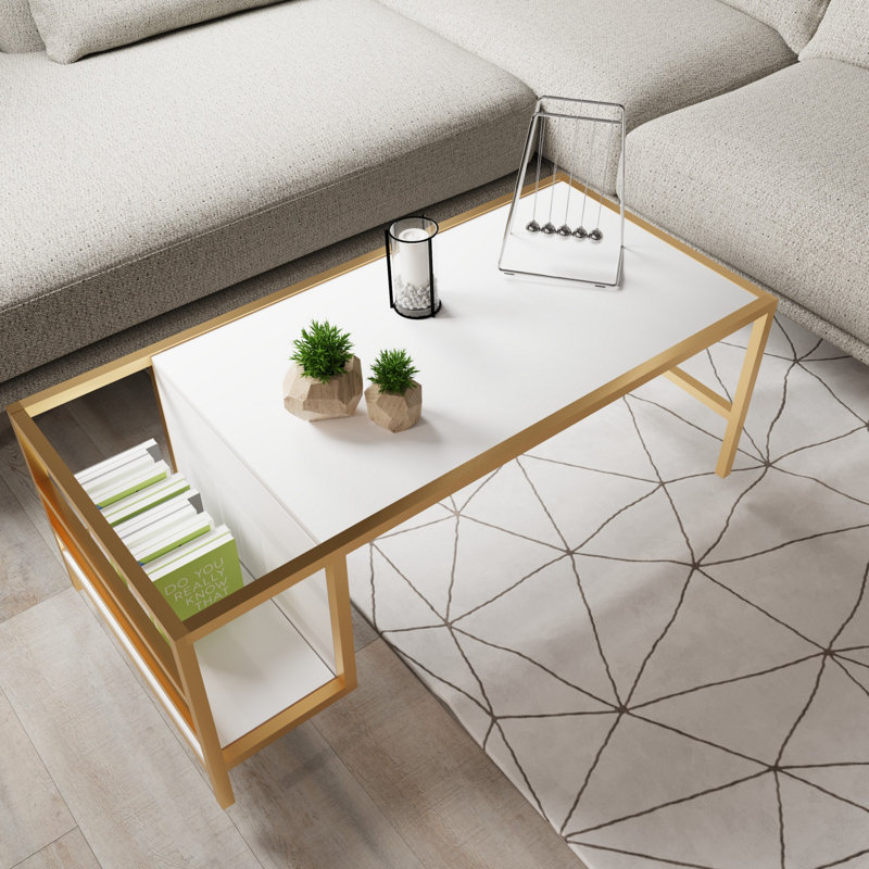 Aliona Coffee Table with Storage, White/Gold