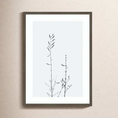 Adela Retro Tennessee Botanical Print No 2 Framed On Paper by Adela Photograph