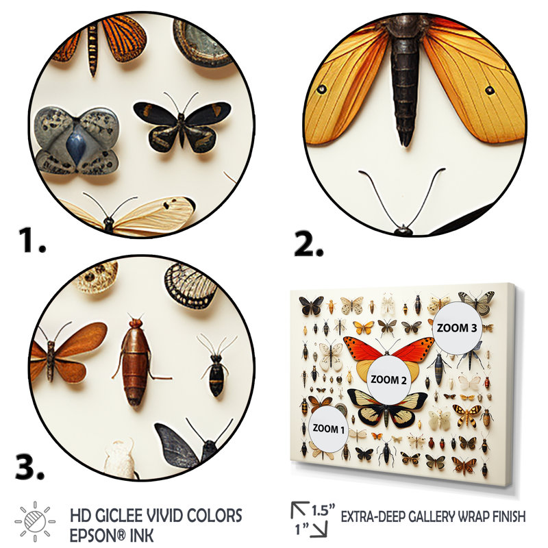 Insectes et insectes oranges - Insectes et insectes muraux, Cadre d'angle fermé noir, H 34 po x l 44 po x P 1,5 po