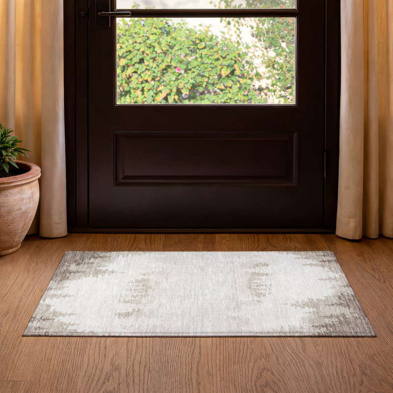 Machine Washable Indoor/Outdoor Chantille ACN2861 Lodge Rug, Ivory, 2'6" x 3'10"