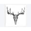 « botanic mount i », impression sur toile-28019544-72565806-72565807