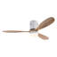 Ventilateur de plafond Jameison