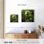 Thé vert Yarlin-109201288