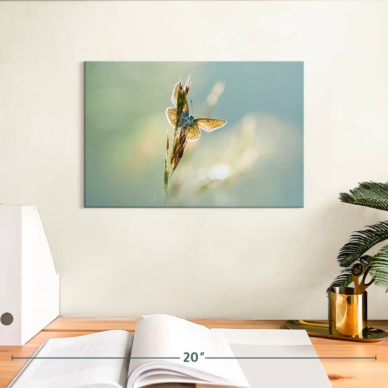 Brampt Icarus Butterfly, 8" H x 12" W