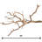  Natural California Driftwood Branch, 36-Inch