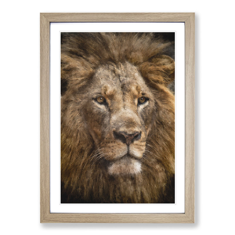 Face of a Lion - Framed Print, 65cm H x 48cm W x 2cm D, Oak Framed