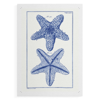 Blue Sea Stars IV - Impression sur toile seulement - NON-CADRE