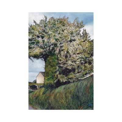 Cutaway by Catherine Patrickson - No Frame Gallery-Wrapped Canvas Giclée on Canvas