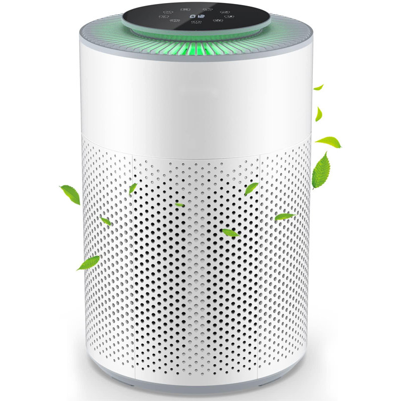 Air Purifier with HEPA Filter