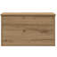 Camp Trunk / Footlocker-8069501