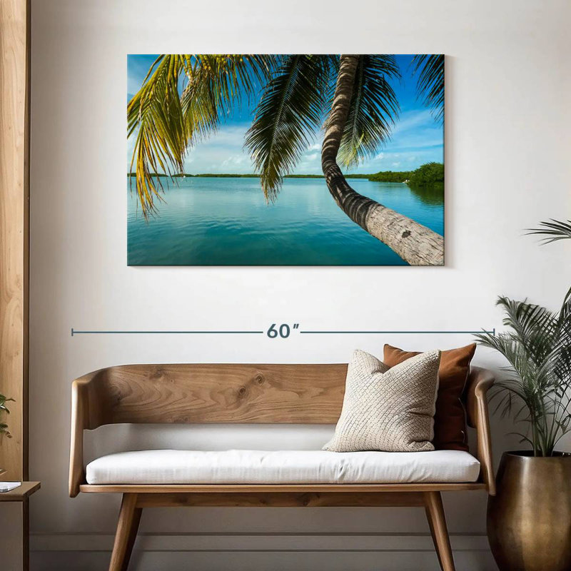 Palmier Gillard Seaside, H 30 po x l 45 po