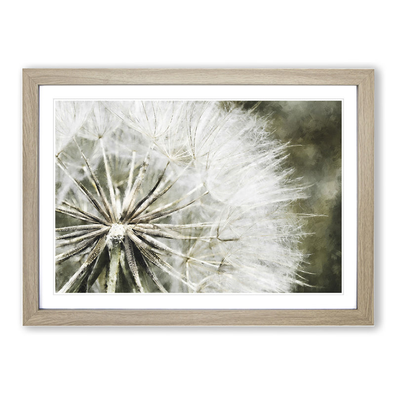 Dandelion Seeds Vol.4 - Picture Frame Graphic Art, Oak Framed, 48cm H x 65cm W x 2cm D