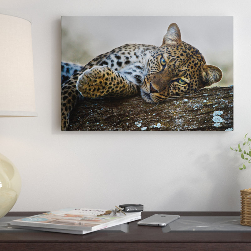 «Lounging Leopard» par Panoramic Images, reproduction de photo sur toile tendue, H 18 po x l 26 po x P 1,5 po, Toile tendue