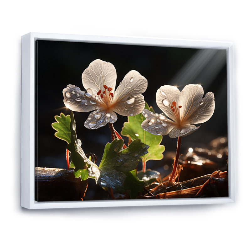 " Grey Geraniums Field III ", Cadre flottant blanc, 12" H x 20" W