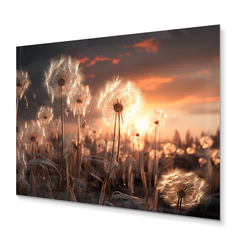 Sunset Dandelion Field III - Floral Metal Wall Decor, 12" H x 20" W x 1" D