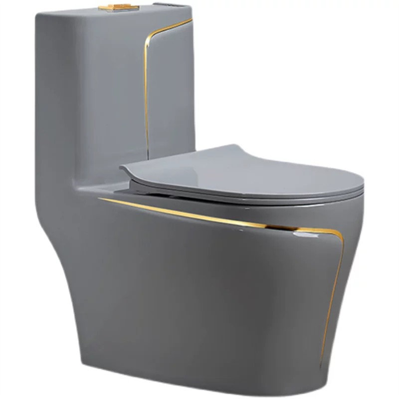 Watermony Dual-Flush Gray Silent Anti-Odor Toilet with Seat