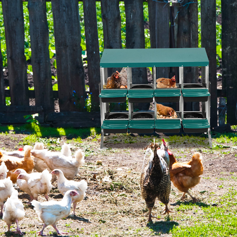 Boîte à nid de poule, boîte à nid de poule avec couvercle pour protéger les œufs