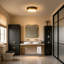11.8in 24W LED FLush Mount Ceiling Light