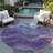 Elion Purple Washable Indoor-Outdoor Rug - -353512522