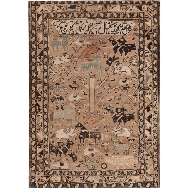Tapis de collection Shirvan