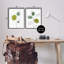 «Minimalist Line Monstera Plants», ensemble de 2 giclées encadrées par Yvette St. Amant-456089272-456089278